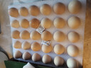 京鲜生 无抗保洁鲜鸡蛋30枚/盒 健康轻食 礼盒送礼 1.5kg/盒 源头直发 实拍图