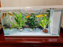 喜高超白玻璃鱼缸智能鱼缸免换水小型客厅水族箱一体式过滤氧气鱼缸 白-鱼缸标配 600*268*322mm 实拍图