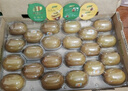 佳沛（zespri）新西兰 阳光金奇异果12粒礼盒特大果单果约122-146g 猕猴桃 水果 实拍图