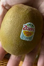 佳沛（zespri）新西兰 阳光金奇异果12粒礼盒特大果单果约122-146g 猕猴桃 水果 实拍图