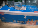 光明【新鲜日期】纯牛奶250mL*24盒家庭量贩装营养早餐伴侣送礼 实拍图