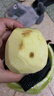 京鲜生 天水花牛苹果 净重4.5斤 单果170g+ 生鲜水果源头直发 实拍图