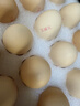 京鲜生富硒鲜鸡蛋30枚 3斤 源头直发 实拍图