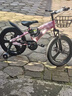 凤凰（Phoenix）儿童自行车儿童单车3-6岁小孩自行车6-10岁儿童自行车凤凰自行车 高配迷人粉丨一体轮+双碟刹+礼包 20寸【适合130-160cm】 实拍图