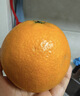 京鲜生 爱媛果冻橙 净重5斤 单果130g起 生鲜水果桔子礼盒 实拍图