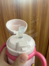 babycare儿童保温杯婴儿宝宝吸管水杯霸王龙不锈钢保温杯300ml-新旧款混发 实拍图