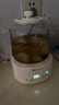 小熊（Bear）全玻璃壶体养生壶恒温壶 办公室多功能煮茶壶花茶壶 0金属养生杯 24h预约24h保温 1L YSH-P10Q7 实拍图