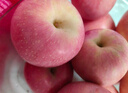 京鲜生 烟台红富士苹果 净重10斤 单果190g以上 生鲜水果 礼盒装 实拍图