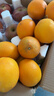 京觅江西赣南脐橙9斤净重橙子特大果220g起手提礼盒甜橙水果源头直发 实拍图