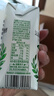认养一头牛【新鲜日期】常温原味酸奶200g*20盒/生牛乳发酵早餐量贩整箱礼盒 实拍图