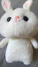 爱尚熊兔子玩偶毛绒玩具小女孩布娃娃儿童女生生日礼物女陪睡觉抱枕公仔 实拍图
