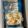 1号会员店蒜蓉粉丝扇贝 鲜活捕捞 严选深海虾夷扇贝 454g（12只装） 实拍图
