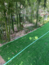 假草皮仿真草坪绿色地毯户外人造塑料人工仿生室外隔热围挡足球场 2厘米新升级加密优质春草 【1米宽/1米长】需要几米长拍几米（整卷25米） 实拍图