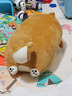 名创优品（MINISO）柴犬系列毛绒公仔趴姿玩具娃娃抱枕睡觉室内卧室办公室生日礼物 实拍图