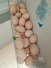 湖南土鸡蛋正宗农家散养笨鸡蛋谷物青菜喂养可生吃农村新鲜柴鸡蛋 40枚土鸡蛋 实拍图