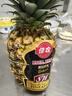 佳农 黑钻菠萝1粒装 菲律宾凤梨 净重2斤起 生鲜水果 源头直发 包邮 实拍图
