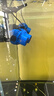 森森（SUNSUN）鱼缸冲浪泵水族箱造浪泵横流造流泵 升级款蓝色双头 26W 适合1.5-2米缸 实拍图