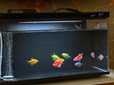 米家（MIJIA）小米米家智能生态鱼缸还原自然生态补仓一次三月无忧出差旅行必备 实拍图