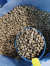 麦富迪狗粮 乖宝乐狗粮成犬通用均衡营养（牛肉蛋黄）10kg/20斤 实拍图