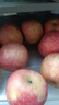 京鲜生山东烟台红富士苹果 5斤装单果75-80mm生鲜水果 源头直发 包邮 实拍图