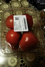 番茄约500g 实拍图