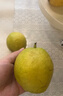 京鲜生 新疆特级库尔勒香梨 净重5斤单果120g以上 生鲜水果 实拍图