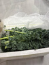 羽衣甘蓝新鲜生鲜蔬菜嫩叶甘兰芥蓝西餐沙拉榨汁减肥减脂 羽衣甘蓝减脂尝鲜装1斤 实拍图