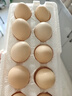 京喜加 鲜鸡蛋 土鸡蛋  五谷喂养 山林自养鸡蛋早餐 生鲜超市买菜40g 10枚 500g【含箱】 实拍图