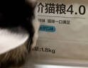 网易严选全价猫粮4.0成幼猫三文鱼亮毛养胃深海鱼虾1.8kg*4袋【宠物金选】 实拍图