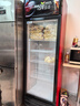白雪雅竹大容量饮料柜商用冰柜直冷藏展示柜酒水柜纯风冷无霜保鲜柜超市玻璃门冰箱立式啤酒柜 单门下机【直冷】600*540*1950mm 实拍图