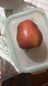源外甘肃花牛果苹果 天水红蛇苹果当季新鲜粉糯宝宝刮泥面水果生鲜 净重8.5斤中果（75-80mm） 实拍图