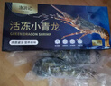 渔游记 印尼小青龙虾净重1.6-2斤/2只 超大龙虾 花龙海鲜冷冻大虾虾类 实拍图