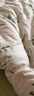 洁丽雅（Grace）7A抗菌100%纯棉四件套新疆棉床上用品床单被套200*230cm1.5/1.8米床 实拍图