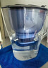 碧然德（BRITA）过滤净水器 滤水壶 海洋系列 3.5L(蓝色）+去水垢专家版滤芯11枚 环保加固包装 实拍图