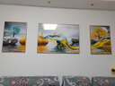 Sixpoetry 客厅装饰画现代简约沙发背景墙壁画轻奢三联晶瓷画大气高档挂画 福禄双收（铝合金外框） 镶钻画左右50*70+中间100*70亮面 实拍图