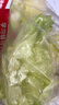 京鲜生&听蔬 有机生菜1斤品种随机发 绿生菜罗马生菜球生菜随机源头直发 实拍图
