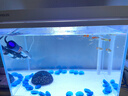 森森（SUNSUN）超白鱼缸一体缸自循环客厅桌面小型家用水族箱HEJ-380 实拍图