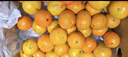 京鲜生 金秋砂糖橘/砂糖桔 5斤 生鲜水果礼盒  实拍图