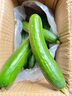 京喜加新鲜无刺水果小黄瓜小青瓜脆甜荷兰脆嫩生吃黄瓜蔬菜 水果黄瓜 2斤 带箱活动 实拍图