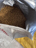 皇家绝育成猫粮 SA37通用粮 1-7岁10KG 实拍图