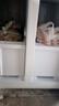 康佳新品家电401+升十字对开门电冰箱家用大容量四门多门双开节能冷冻冷藏纤薄可嵌入式冰箱以旧换新 【精细分储】纤薄可嵌入十字 实拍图