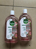 滴露（Dettol）香氛衣物自然消毒液洗衣杀菌除螨去异味48H留香1000ml儿童可用 实拍图