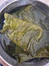 盛源来干裙带菜100g海产干货 韩式海带汤凉拌煲汤紫菜儿童孩子低脂昆布 实拍图