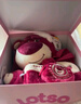 迪士尼（Disney）草莓熊礼盒正版玩偶毛绒玩具小女孩生日礼物同学朋友员工中秋礼物 实拍图