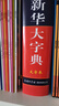 新华大字典 第3版大字版 2021新版超大开本 新华字典新版 多功能学生字典  实拍图