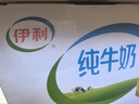 伊利【新鲜日期】纯牛奶250ml*21盒 全脂牛奶 优质乳蛋白 礼盒装 实拍图