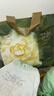babycare金山茶花拉拉裤XXXXL26片(＞19kg)婴儿尿不湿超薄透气轻柔花苞裤 实拍图