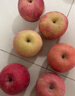 2025年现摘现发甘肃天水花牛苹果新鲜红蛇果粉面生鲜脆甜多汁A14 带箱2斤  果径65-70mm 实拍图