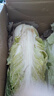 【霜打菜】新鲜大白菜玉田大白菜更甜早餐火锅超市京东包邮 8-10斤含箱 实拍图