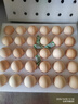 京鲜生柴鸡蛋30枚 3斤 无抗生素 谷物喂养鲜鸡蛋 源头直发 实拍图